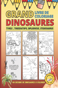Grand Livre de Coloriage Dinosaures