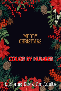 Merry Christmas Color By Number Coloring Book For Adults