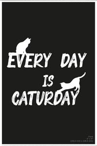 Every Day Is Caturday