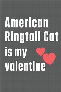 American Ringtail Cat is my valentine