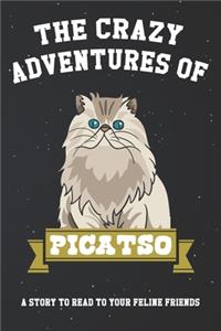 Crazy Adventures of Picatso