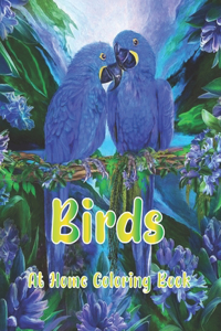 Birds At Home Coloring Book