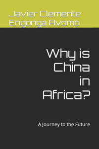 Why is China in Africa?