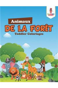 Animaux de la Forêt