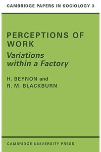 Perceptions of Work