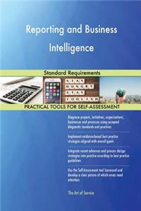 Reporting and Business Intelligence Standard Requirements