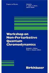 Workshop on Non-Perturbative Quantum Chromodynamics