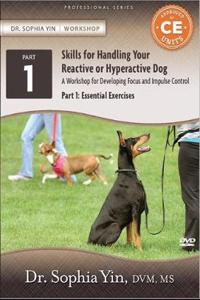 Skills for Handling Your Reactive or Hyperactive Dog