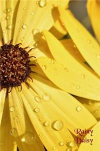 Rainy Daisy