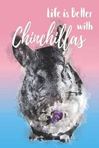 Life is Better with Chinchillas