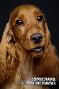Cocker Spaniel 2020 Weekly Planner