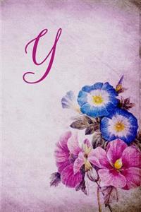 Y