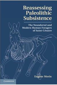 Reassessing Paleolithic Subsistence