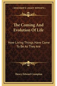 The Coming and Evolution of Life