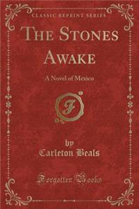 The Stones Awake: A Novel of Mexico (Classic Reprint)