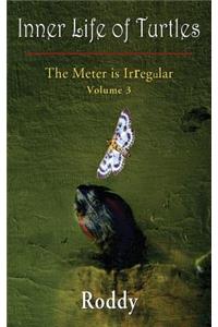 Meter is Irregular, Volume 3 - Inner Life of Turtles