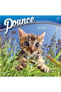 Pounce 2019 Square Wall Calendar