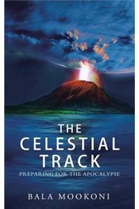 The Celestial Track