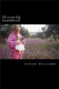Life Is One Big Beautiful Ride