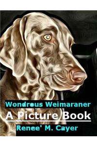 Wondrous Weimaraner