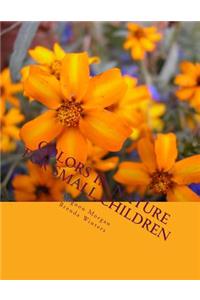 Colors In Nature For Small Children
