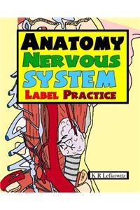 Anatomy Nervous System Label Practice