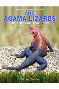 Agama Lizard