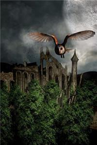 The Owl and the Castle Illustration Journal