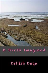 Birth Imagined