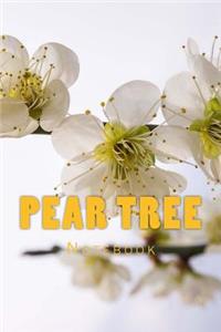 Pear Tree