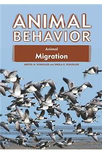 Animal Migration