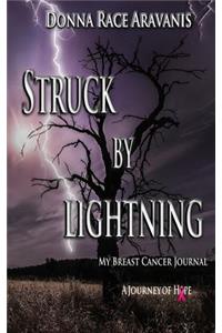 Struck by Lightning