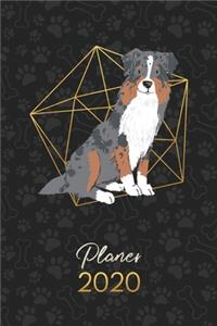 Planer 2020