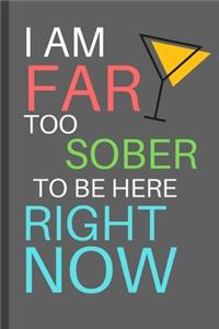 I Am Far Too Sober To Be Here Right Now