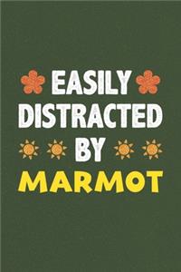Easily Distracted By Marmot