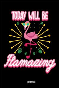 Today Will Be Flamazing Notebook