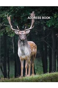 Low Vision Large Print Address Book
