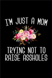 I'm Just a Mom Trying Not to Raise Assholes