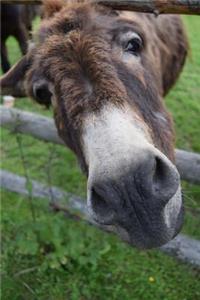 Donkey Loves You Journal