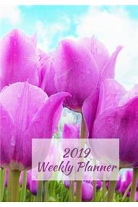 2019 Weekly Planner