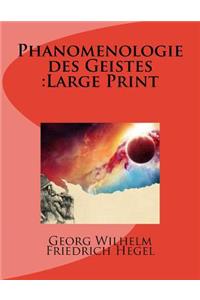 Phanomenologie des Geistes