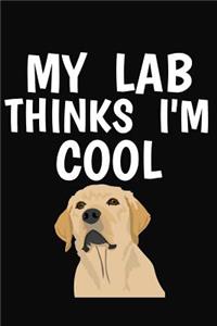 My Lab Thinks I'm Cool