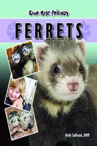Ferrets