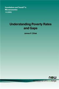 Understanding the Poverty Rates and Gap