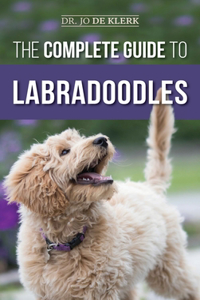 Complete Guide to Labradoodles