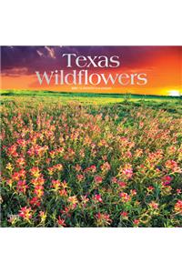 Texas Wildflowers 2021 Square Foil