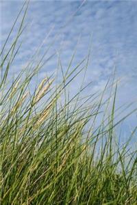 Grass Notebook
