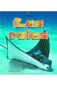 Les Raies (Skates and Rays)