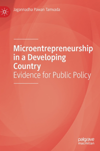 Microentrepreneurship in a Developing Country