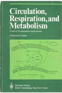 Circulation, Respiration, and Metabolism